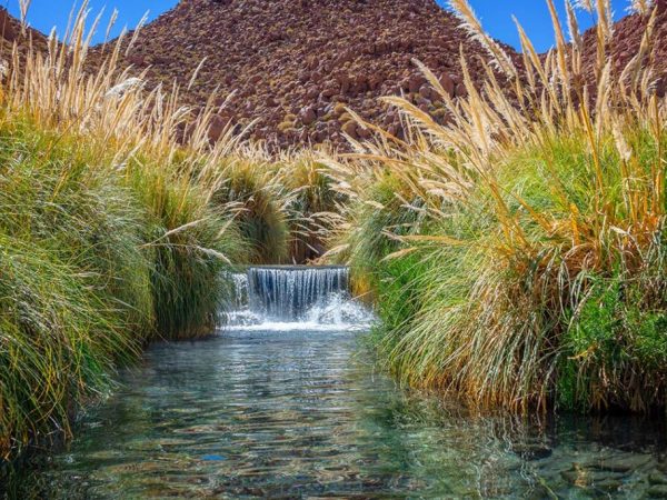 Tour a las termas de Puritama