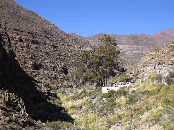 Escapada a las Termas & Quebrada de Chusmiza
