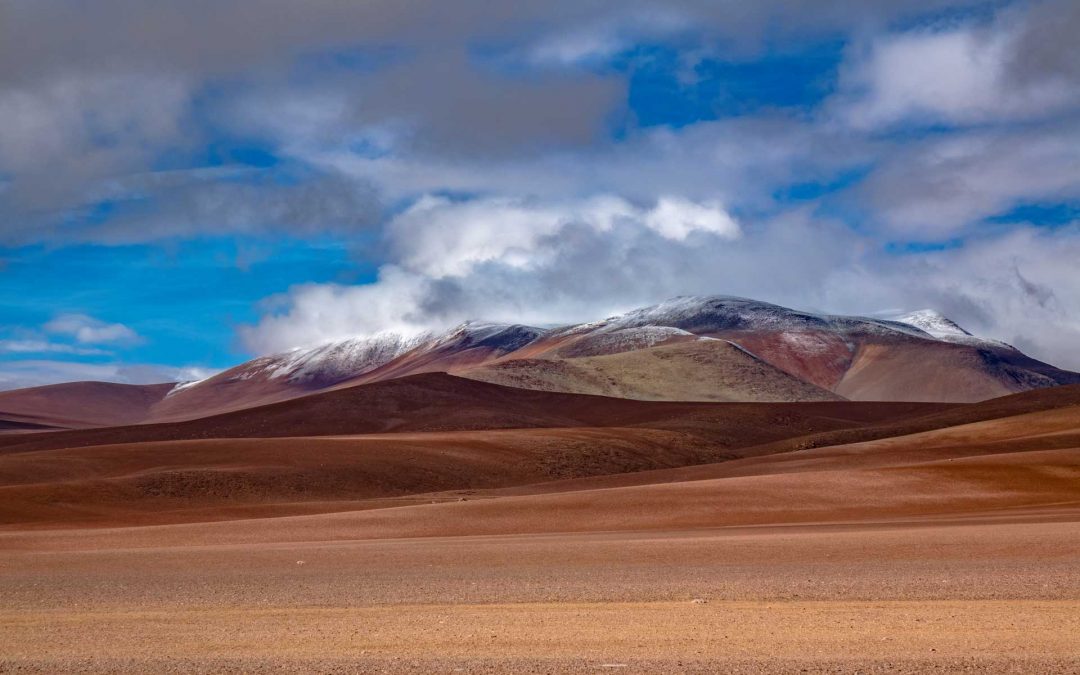 Norte Total: Altiplano, Geoglifos, Oasis & Salitre
