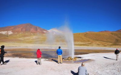 Safari Altiplánico Volcán Isluga, Salar de Surire & Laguna Roja