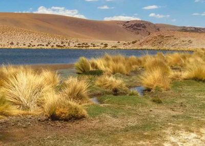 Ruta de los Salares andinos