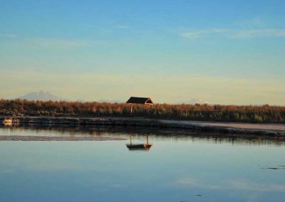 Salar de Atacama, Ojos del Salar y Laguna Tebinquinche