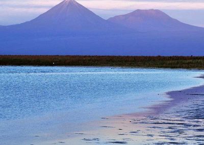 Salar de Atacama, Ojos del Salar y Laguna Tebinquinche