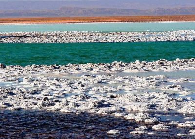 Salar de Atacama, Ojos del Salar y Laguna Tebinquinche