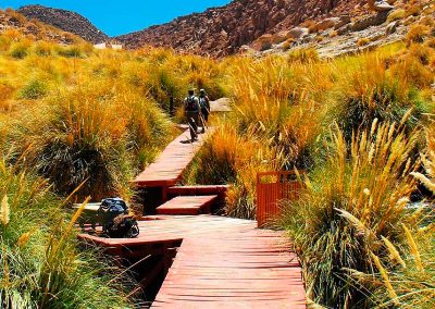 Tour Trekking a las Termas de Puripobre