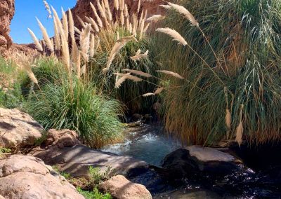 Tour Trekking a las Termas de Puripobre