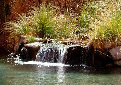 Tour Trekking a las Termas de Puripobre