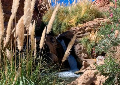 Tour Trekking a las Termas de Puripobre