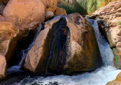 Tour Trekking a las Termas de Puripobre
