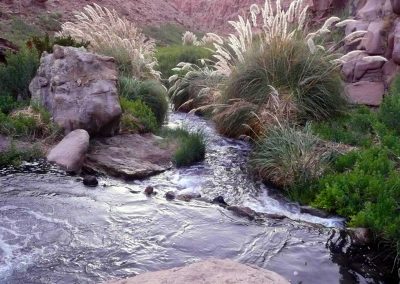 Tour Trekking a las Termas de Puripobre