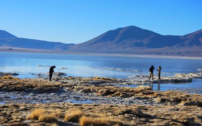 Parque Nacional Salar del Huasco