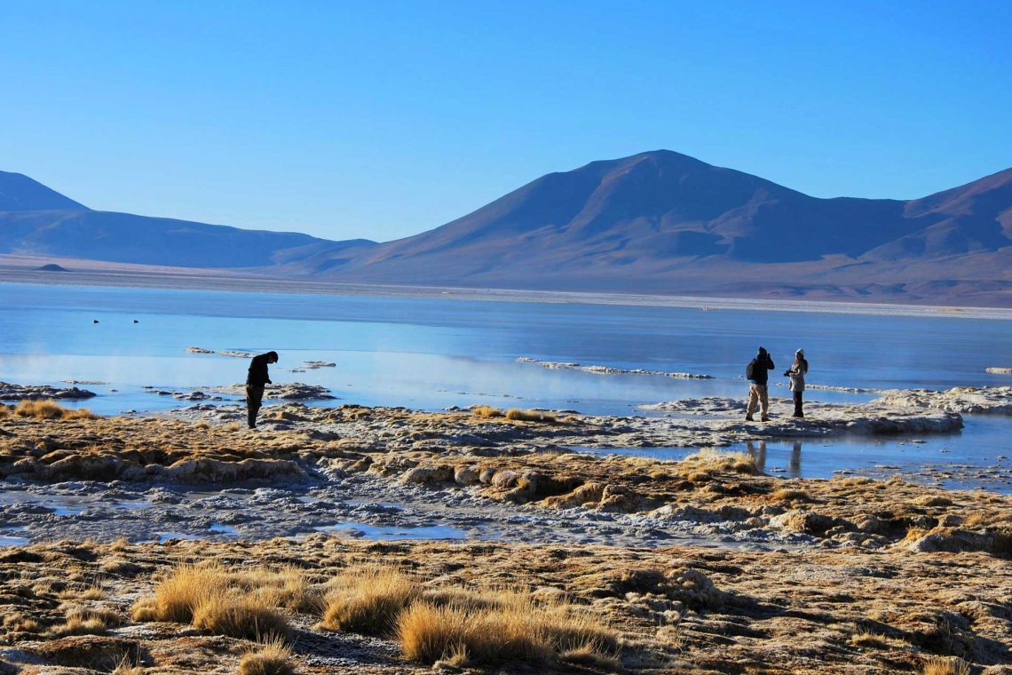 Parque Nacional Salar del Huasco