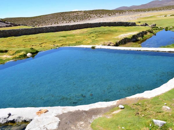 Tour al Parque Nacional Volcán Isluga y las Termas de Enquelga